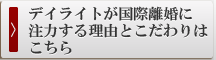 デイライトが国際離婚に注力する理由とこだわり